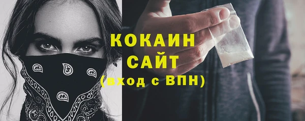 ГАЛЛЮЦИНОГЕННЫЕ ГРИБЫ Липки
