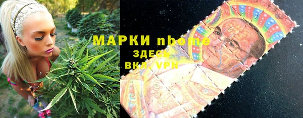 ПСИЛОЦИБИНОВЫЕ ГРИБЫ Кулебаки