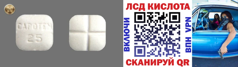 купить   Партизанск  Лсд 25 экстази кислота 
