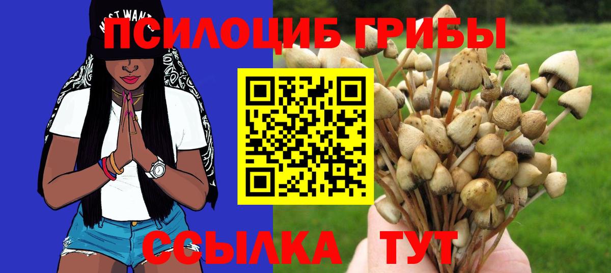 Галлюциногенные грибы Psilocybine cubensis  купить закладку  Партизанск  Вход с VPN  Галлюциногенные грибы MAGIC MUSHROOMS 