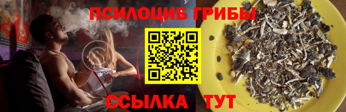 Псилоцибиновые грибы прущие грибы Партизанск