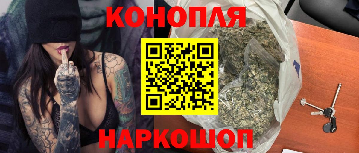 Конопля OG Kush Партизанск